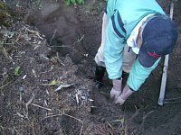 ���ڂ��A�����������܂�