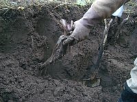 ���ڂ��A�����������܂�