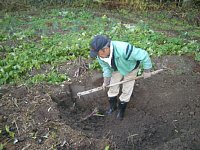 ���ڂ��A�@��N����