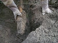 �������A�����������܂�