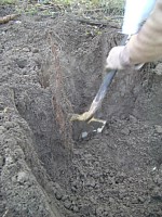 �������A�����������܂�