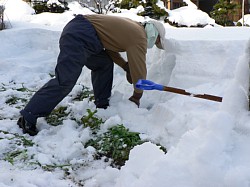 ��ŗD������ǂ�