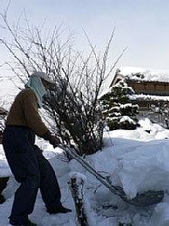 �X�m�[�_���v�Ő�ǂ�