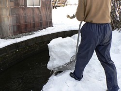 ����Ɏ̂Ă܂�