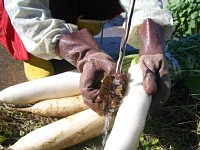 �卪��􂢂܂�