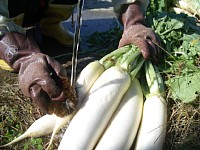 �卪��􂢂܂�