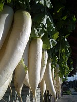 �卪��V������