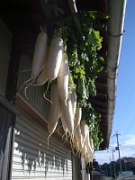 �卪��V������