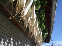 �卪��V������