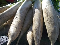 �y���̑卪