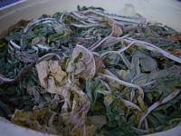 �卪�̗t�ŁA�����܂�