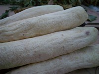 �卪�̗t���J�b�g