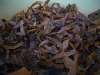 �B�����ɁA�`�̔�