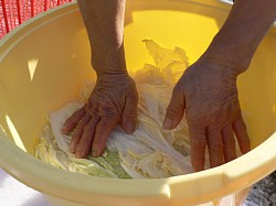 �͂��������������܂�