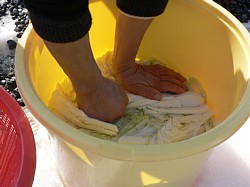 �͂��������������܂�