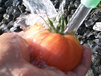 水でサッと洗って