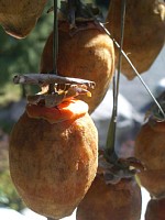 高級デザート、つりんぼ