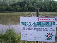 ���������͔|�ُ�