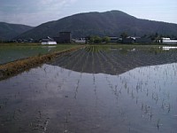 �c�A���������c���