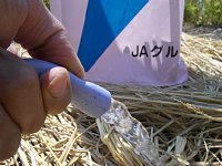 �X�C�J�̐����