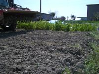 �X�C�J��A���锨