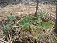 5��27���n�i�����