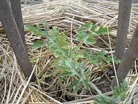 5��27���^���E����