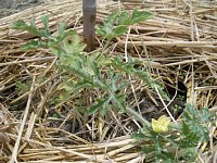 �^���E����A�b�v