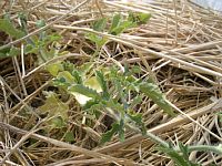 6��1���^���E