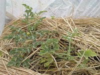 6��9���n�i