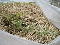 6��9���^���E