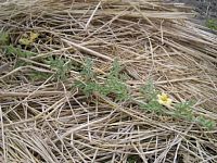 6��15���^���E