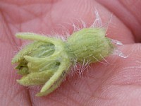 �^���E����̎���