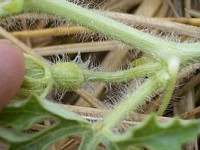 �^���E����̎���