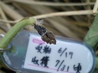 �͂ꂽ����