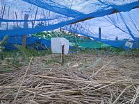 �J���X����