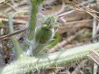 7��6���@�^���E����