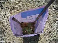 �����ł�