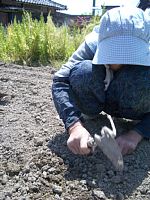 ���΂������̓y�ӂ�