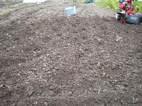 �ӂ����ӂ��̓y