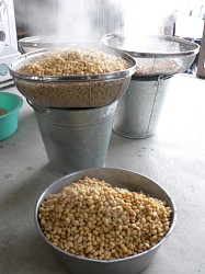 �ς������A���؂肵�܂�