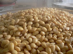 �ς�����