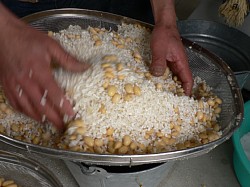 ���ƍ����悭�������킹�܂�