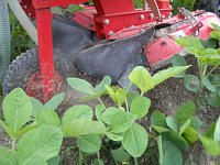 ���k�@�̃��[�^���[