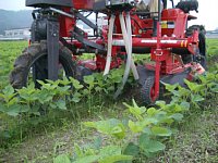 ���k�@�ŁA�O�i