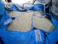 1�g���܂̑哤