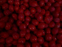 ���ł��ꂽ��q