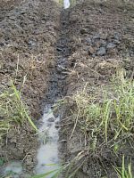 �Ȃ������a