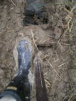 �a���Ȃ��܂�