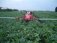 �哤�̏���